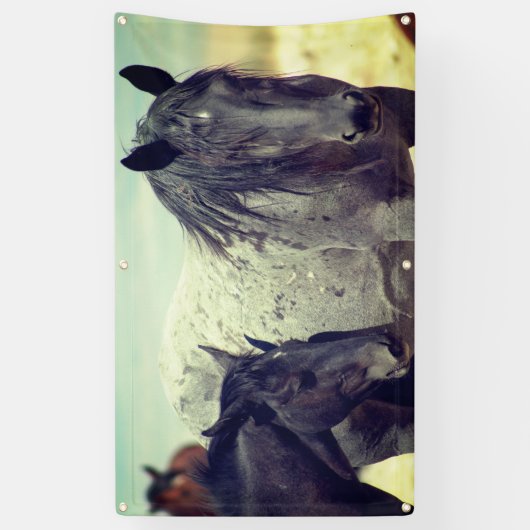 WILDE HORSES VAN UTAH ONAQUI GRAY BANNER (Verticaal)