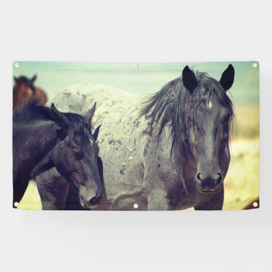 WILDE HORSES VAN UTAH ONAQUI GRAY BANNER (Horizontaal)