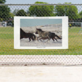 WILDE HORSES VAN UTAH, ONAQUI HERD Banner W/GROMME (Insitu)
