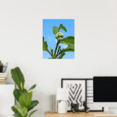 Wilde Hortensia Poster (Thuiskantoor)