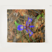 Wilde iris bloeien..... wandkleed (Voorkant (horizontaal))