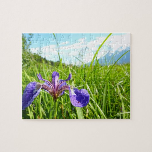 Wilde Iris en Alaskisch Landschap Legpuzzel (Horizontaal)