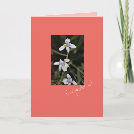 Wilde Iris Felicitatiekaart Kaart (Voorkant)