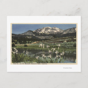 Wilde Iris groeit nabij de moedervlek van Mammoth Briefkaart