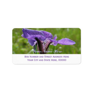 Wilde iris, Iris setosa Etiket