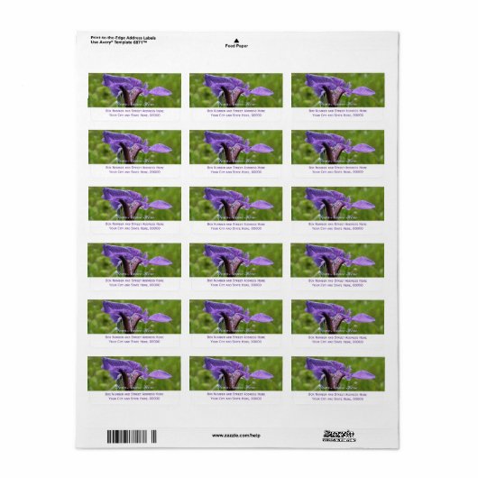 Wilde iris, Iris setosa Etiket (Full Sheet)