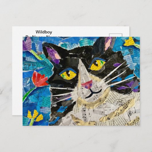 Wilde jongen de kat briefkaart (Voorkant / Achterkant)