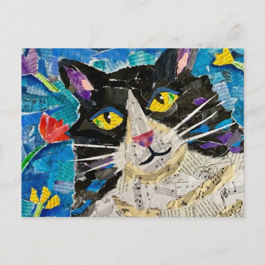 Wilde jongen de kat briefkaart (Voorkant)