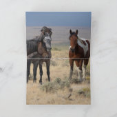 Wilde Jongens van Lost Creek Wenskaart (Binnen)