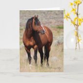 Wilde Kaart ~ Eer, Wilde Hengst van Stenen (Gele Bloem)