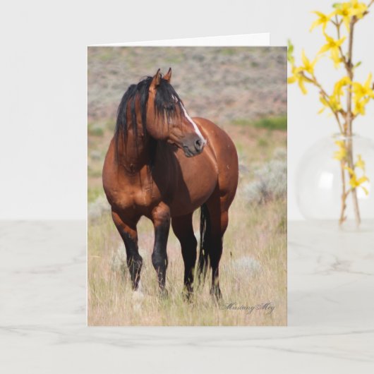 Wilde Kaart ~ Eer, Wilde Hengst van Stenen (Gele Bloem)