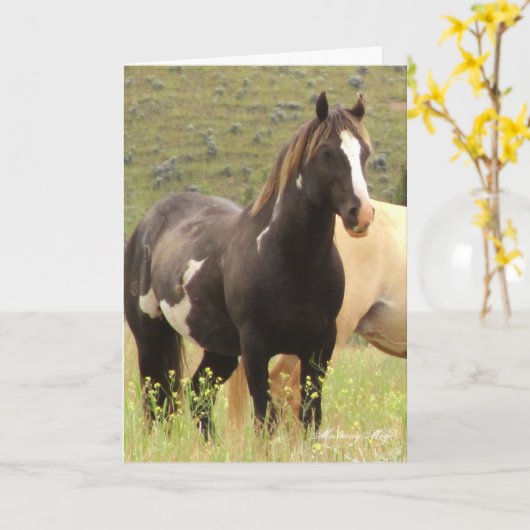 Wilde Kaart ~ Majesteit, Band Hengst op Stenen (Gele Bloem)