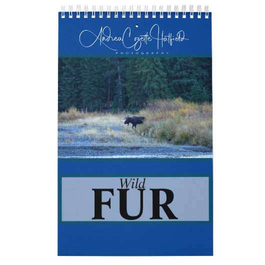 Wilde Kalender (Hoes)