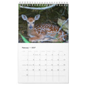 Wilde Kalender (Feb 2027)