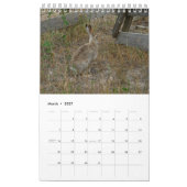 Wilde Kalender (Mar 2027)