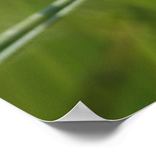 Wilde kalender-bloem poster (Hoek)