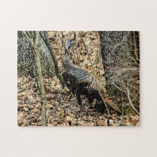Wilde kalkoen in bossen foto puzzel met cadeaudoos (Horizontaal)