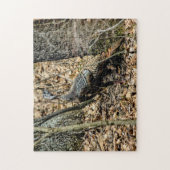 Wilde kalkoen in bossen foto puzzel met cadeaudoos (Verticaal)