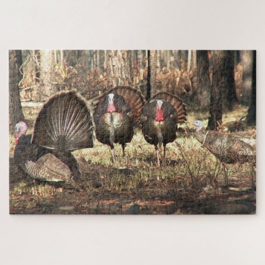Wilde kalkoen in het bos vogel legpuzzel (Horizontaal)