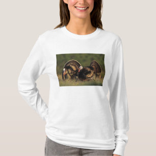 Wilde kalkoen, Meleagris gallopavo,mannetjes T-shirt