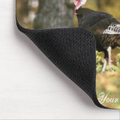 Wilde kalkoen muismat (Hoek)