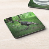 Wilde kalkoen op het gras onderzetter (Linkerzijde)