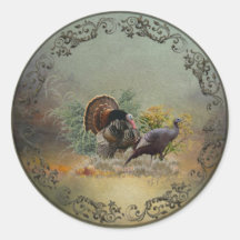 Wilde kalkoen