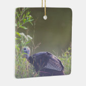 Wilde kalkoen verbergen in Grass Ornament (Rechts)