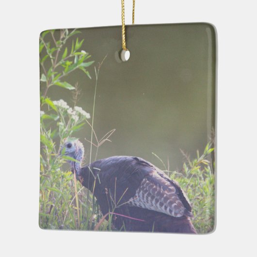 Wilde kalkoen verbergen in Grass Ornament (Links)
