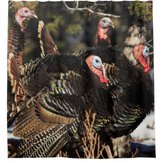 Wilde kalkoenen douchegordijn (Voorkant)