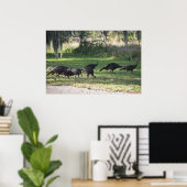 Wilde kalkoenen in gras fotoposter poster (Thuiskantoor)