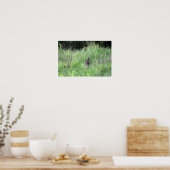 Wilde kalkoenen in gras Poster (Keuken)
