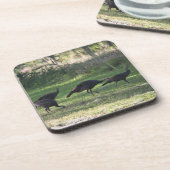 Wilde kalkoenen in het gras Foto Bier Onderzetter (Linkerzijde)