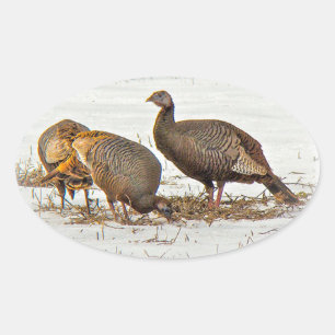 Wilde kalkoenen in sneeuw ovale sticker