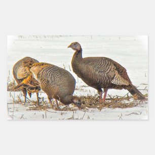 Wilde kalkoenen in sneeuw rechthoekige sticker