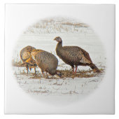 Wilde kalkoenen in sneeuw tegeltje (Voorkant)