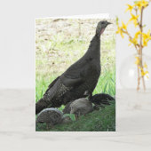 Wilde kalkoenen kaart (Gele Bloem)