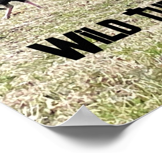 Wilde kalkoenen Poster (Hoek)