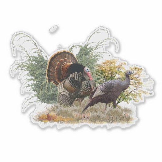 Wilde kalkoenen sticker (Voorkant)