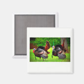 Wilde kalkoenen versierde magneet (Voorkant / Achterkant)