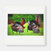 Wilde kalkoenen versierde magneet (Voorkant)