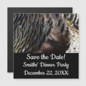 Wilde Kalkoenveren I Abstract Natuurontwerp (Voorkant / Achterkant)