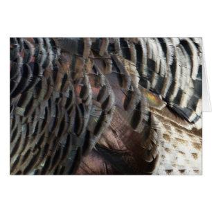 Wilde kalkoenveren I Abstracte natuurontwerp