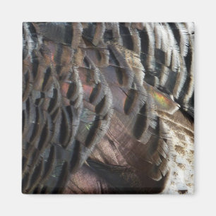 Wilde kalkoenveren I Abstracte natuurontwerp Magneet