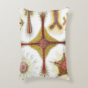 Wilde kamille door Ernst Haeckel, Vintage Natuur Accent Kussen