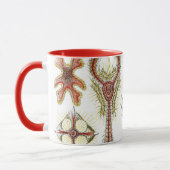 Wilde kamille door Ernst Haeckel, Vintage Natuur Mok (Links)