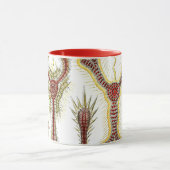 Wilde kamille door Ernst Haeckel, Vintage Natuur Mok (Midden)