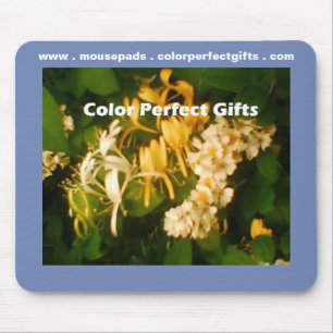 Wilde Kamperfoelie Roos Muismat