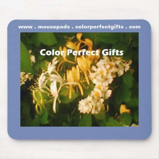 Wilde Kamperfoelie Roos Muismat (Voorkant)