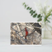 Wilde Kardinaal Bird Half Male, half Vrouw Briefkaart (Staand voorkant)